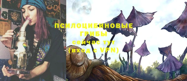 дживик Абинск